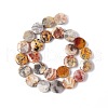 Natural Crazy Lace Agate Beads Strands G-O120-13-3