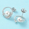 Shell Pearl Dangle Stud Earrings EJEW-Z024-09A-P-3