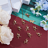 SUPERFINDINGS 60Pcs Christmas Themed Zinc Alloy Enamel Pendants FIND-FH0010-19-5