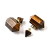 Natural Tiger Eye Perfume Bottle Pendants G-L623-08G-03-2