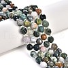 Natural Indian Agate Beads Strands G-T131-77A-6