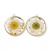 Transparent Clear Epoxy Resin Pendants RESI-L036-12G-08-1