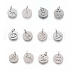 Non-Tarnish 304 Stainless Steel Pendants STAS-Q201-T445-M-S-1