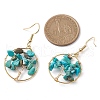 Natural Howlite Chips Dangle Earrings EJEW-JE05726-02-3