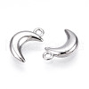 304 Stainless Steel Charms STAS-N109-138P-2