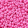 Baking Paint Glass Seed Beads X1-SEED-B001-02A-01-3
