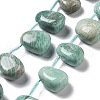 Natural Amazonite Beads Strands G-P528-E04-01-1