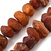 Natural Carnelian Beads Strands G-I283-F09-2