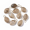 Natural Picture Jasper Pendants G-S359-014D-1