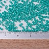 MIYUKI Delica Beads SEED-J020-DB0729-4