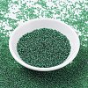 MIYUKI Round Rocailles Beads SEED-G007-RR0173-2