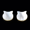 Natural White Shell Beads SSHEL-N034-124B-3