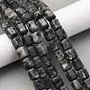 Natural Larvikite Beads Strands G-R015-A04-1
