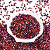 Picasso Glass Seed Beads SEED-N007-20B-2