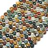Natural Ocean Jasper Beads Strands G-C116-A57-02-2