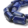 Natural Lapis Lazuli Beads Strands G-N327-06-13-4