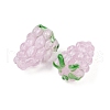 Handmade Lampwork Enamel Beads LAMP-U004-07F-2