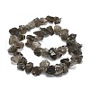 Raw Rough Natural Smoky Quartz Beads Strands G-E576-24-2