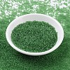 MIYUKI Round Rocailles Beads SEED-X0054-RR0145-2