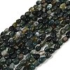 Natural Moss Agate Beads Strands G-Q060-D10-2