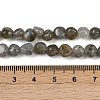 Natural Labradorite Beads Strands G-Q060-B02-5