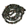 Natural African Turquoise(Jasper) Beads Strands G-F794-A01-3