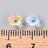 Frosted Transparent Acrylic Beads X-OACR-N137-72F-4