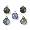 Natural Labradorite Pendants G-K372-03P-08-1
