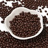 6/0 Opaque Baking Paint Glass Seed Beads SEED-M012-02A-14-2