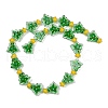 Handmade Lampwork Enamel Beads LAMP-S070-05F-2