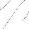 Baking Painted Iron Wire MW-NH0001-02A-2