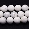 Natural Howlite Beads Strands TURQ-G090-10mm-1