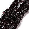Natural Garnet Beads Strands F065-01-2