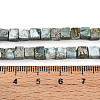 Natural Variscite Beads Strands G-T140-41B-5