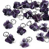 Faceted Transparent Glass Charms GLAA-T024-06-2