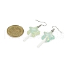 Star Resin Imitation Lollipop Dangle Earrings EJEW-JE06358-02-4