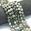 Natural Tree Agate Beads Strands G-C116-A32-02-1