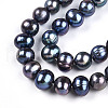 Natural Cultured Freshwater Pearl Beads Strands PEAR-N013-08C-01-4
