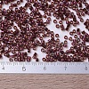 MIYUKI Delica Beads X-SEED-J020-DB0120-4