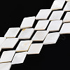 Natural Freshwater Shell Beads Strands SHEL-T020-13H-1