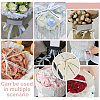 Birthday Theme Polyester Grosgrain Printed Ribbon OCOR-WH0058-91C-6