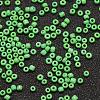 8/0 Glass Seed Beads SEED-J014-F8-47-3