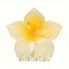 Plastic Claw Hair Clips PW-WG99DFF-03-1