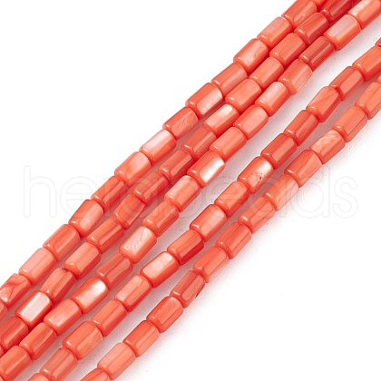 Natural Freshwater Shell Dyed Beads Strands SHEL-M018-12-02-1