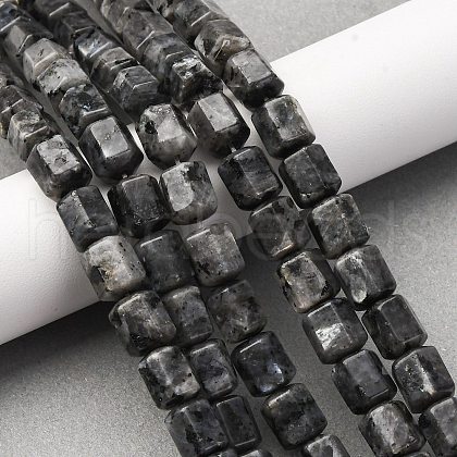Natural Larvikite Beads Strands G-R015-A04-1