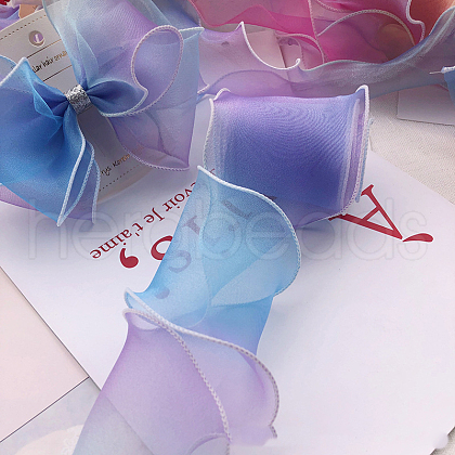 Organza Ribbon OHAR-PW0001-139C-1