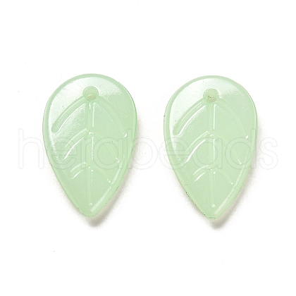 Translucent Acrylic Pendants OACR-Z016-10A-1