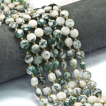 Natural Tree Agate Beads Strands G-C116-A32-02-1