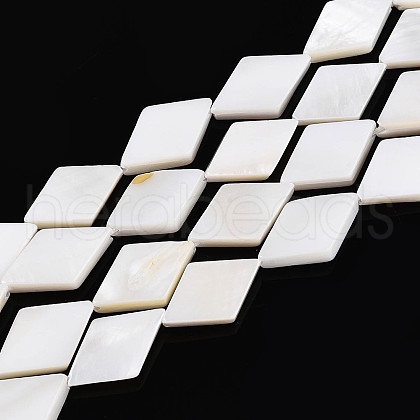 Natural Freshwater Shell Beads Strands SHEL-T020-13H-1
