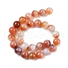 Natural Multi-Color Agate Beads Strands G-A261-B21-14mm-3